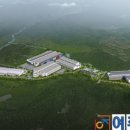 로지스공인중개사사무소 네이버블로그