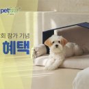 프랜드 펫 이미지