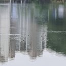 우두하리길 이미지