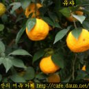경희광택 이미지