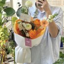 플로시아 이미지