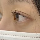 스튜디오 모가 이미지