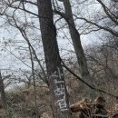 동읍농협자여지점 | <정병산> 이 코스는 아무도 모를걸? : 동읍롯데리아→촛대봉→정상(원점회귀/feat : 암벽타기)