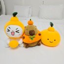 신의하우스 | 제주 키즈펜션 내돈내산 가족숙소 추천｜바닷가하우스 펜션 후기