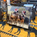 2564 | 제주도 이색체험 제주투어패스 여행코스 낙타트래킹 소요 시간 가격 체험후기