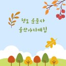 울산아지매 이미지