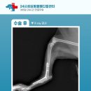 성심동물의료센터 이미지