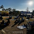 펫페스티벌 이미지