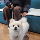 충현목장 네이버블로그