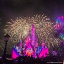 대호유통 | 상하이 여행 3일차 마지막날/상하이 맛집 핫플-대호춘, 홀리랜드 수건케이크/릴리안베이커리, 디즈니...