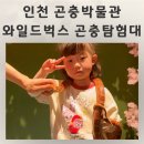 1461 | 모래놀이 실내동물원 와일드벅스 인천 곤충박물관