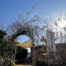 동일스위트 혜윰 작은도서관 | [양산 물금] 양산시립도서관 근처 카페 조용한 디저트 맛집 outset