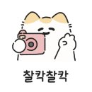 원조튀김옷얇은집 이미지
