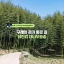 섬진강대숲길 이미지