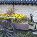 천명농장 이미지