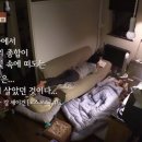 코스모스 민박 이미지