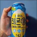 더블유씨피(주)충주점 | 20260421_1일1술: 과실주, 순하리 레몬진 4.5