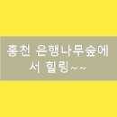 은지시스템 이미지