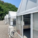 더마니축산