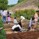 여수농업기술센터 이미지