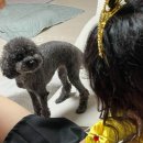 승민네