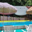 댕댕이 운동장 이미지