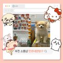 필레오트윈파크1동 | 부천 소품샵 만쥬네문방구 다꾸용품 짱구 굿즈 내돈내산 방문 후기