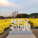 은하수 행정사사무소 이미지