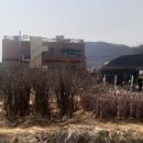 루라정원 이미지