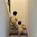 고기리 393