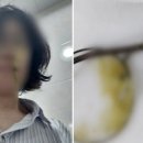 대전검찰어린이집 이미지