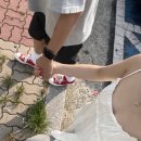 태호청과 이미지