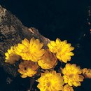 나무와 친해지기 이미지