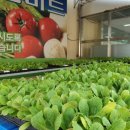 부귀농협주유소 이미지