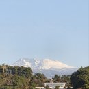 비경
