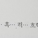 주디마리
