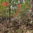 정영식공인중개사사무소 이미지