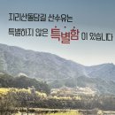 산수유꽃담길평촌 영농조합법인 이미지