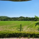 청계 한우 농장 이미지