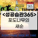 포도나무365 이미지