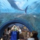 밀양영남루(울산) 이미지