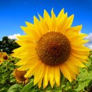 해와달공인중개사사무소 이미지