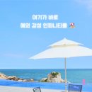 오션블리스 1 이미지