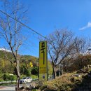 통돼지와도토리 이미지