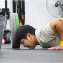 크로스핏하운드 이미지