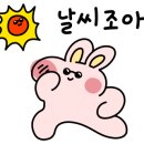 순천꽃집 엘리플라워 네이버블로그