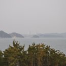 거제지심도 이미지