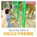 씨유 가평아침고요점 | 가평 아기랑 갈만한 곳 아침고요가족동물원 입장료 주차 먹이주기 체험