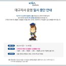 (속보) 대구지사 운영 일시 중단 안내... 이미지