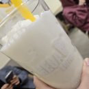 원성준영상의학과동물병원 | 강아지 코피 비강종양 진단 강남 CT 동물병원 비용